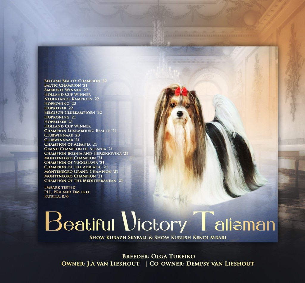 Beautiful Victory Talisman