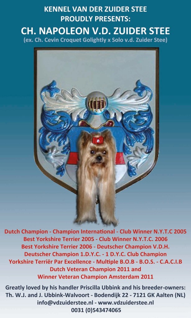 Napoleon v.d. Zuider Stee