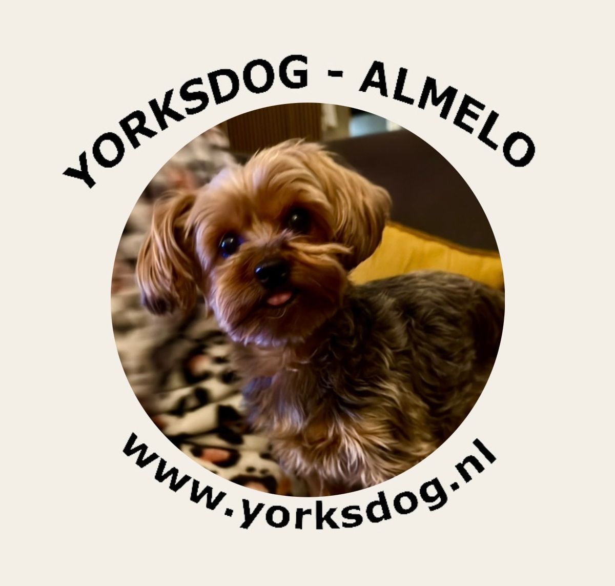 Yorksdog Almelo